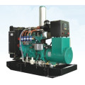 40kVA LPG Gas Power Generator Sets